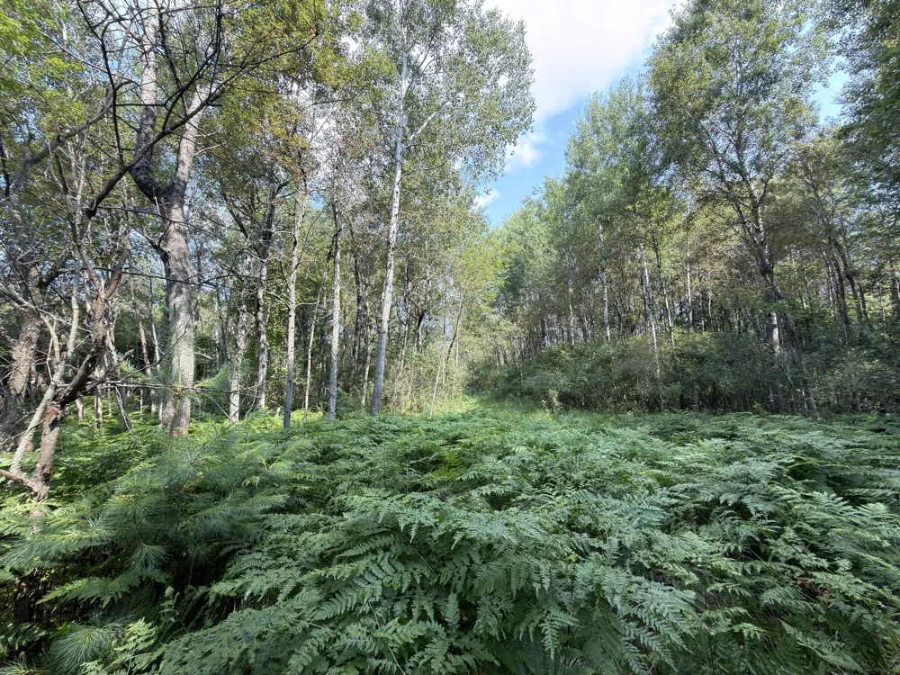 25a Nyrkkanen Road Kaleva, MI 49645