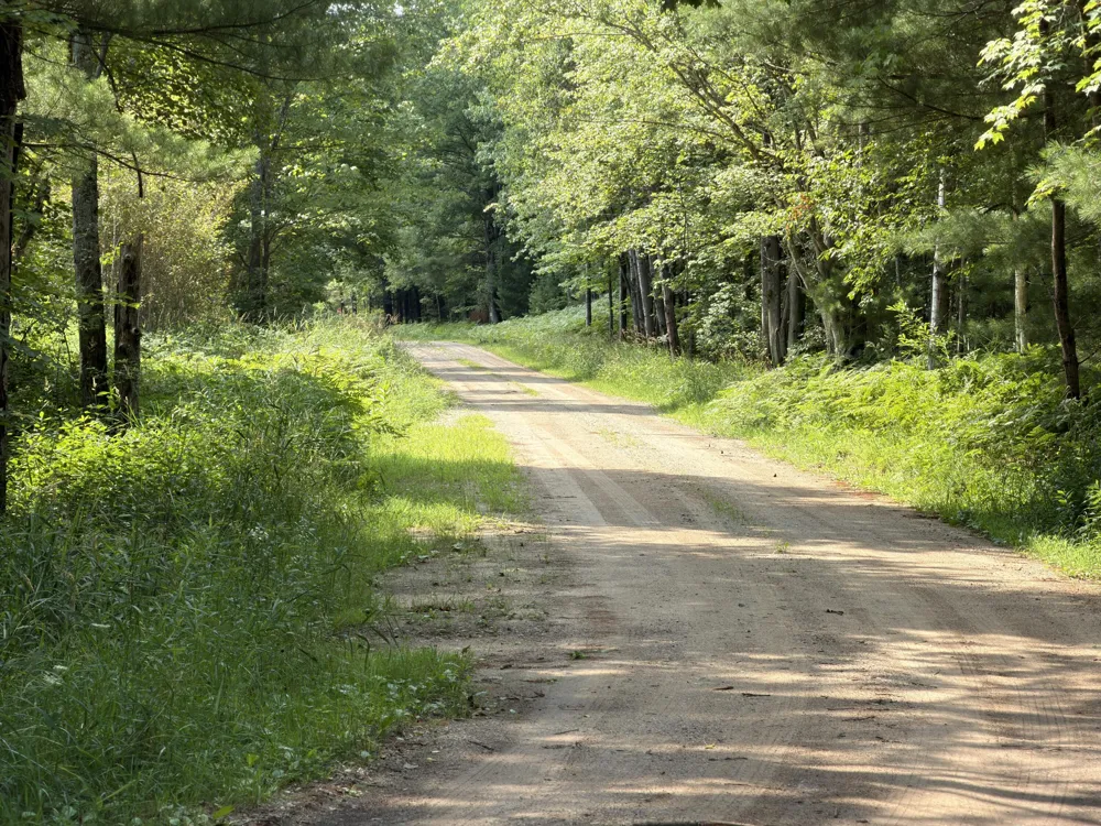 25a Nyrkkanen Road Kaleva, MI 49645