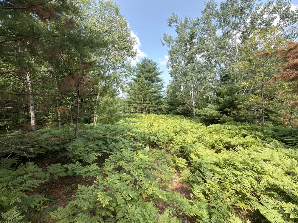 25a Nyrkkanen Road Kaleva, MI 49645