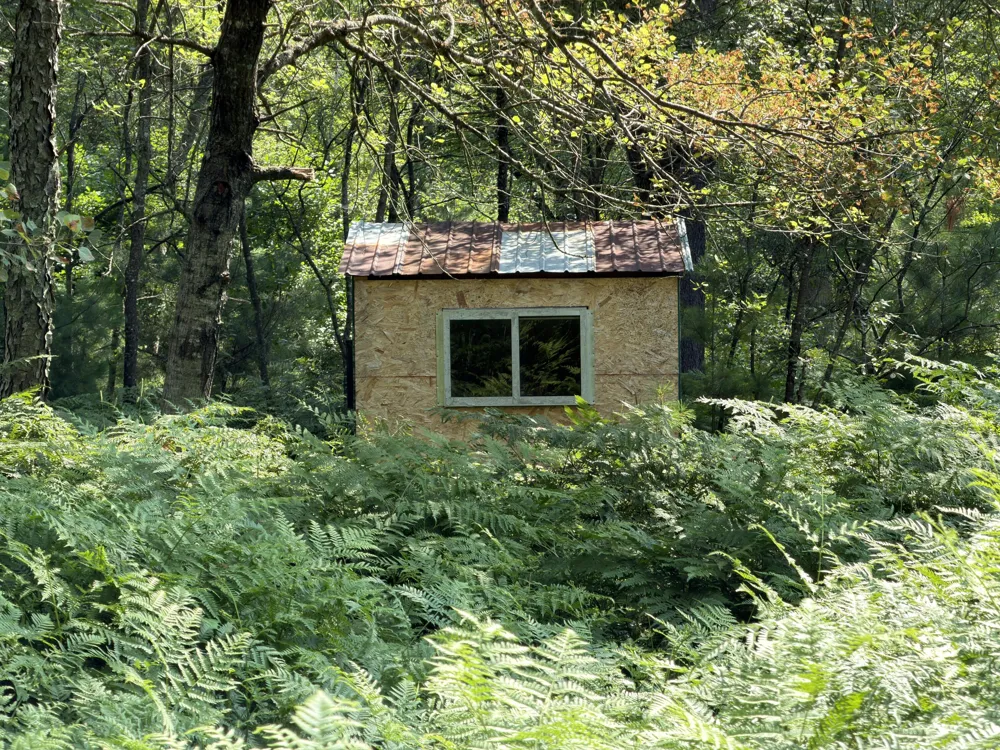 25a Nyrkkanen Road Kaleva, MI 49645