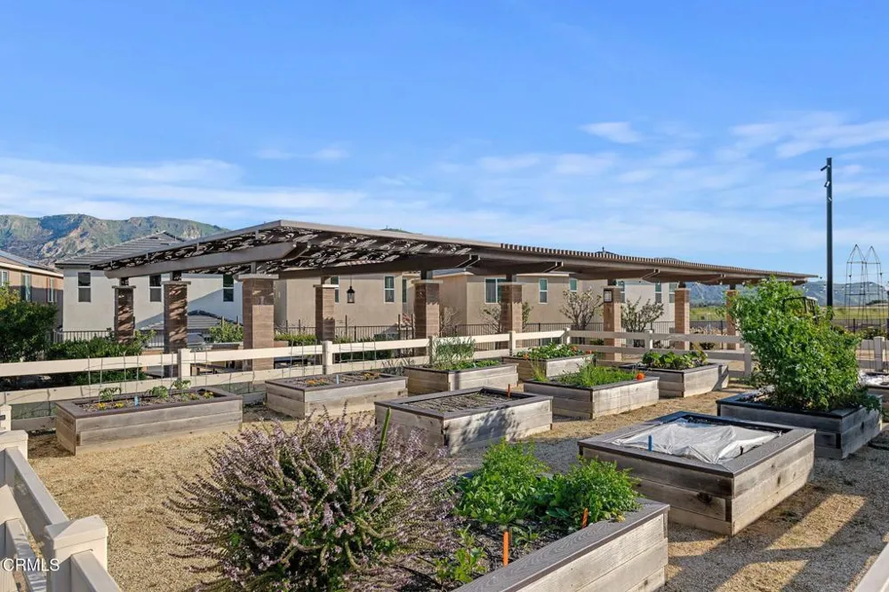 2072 Harvest Loop Santa Paula, CA 93060