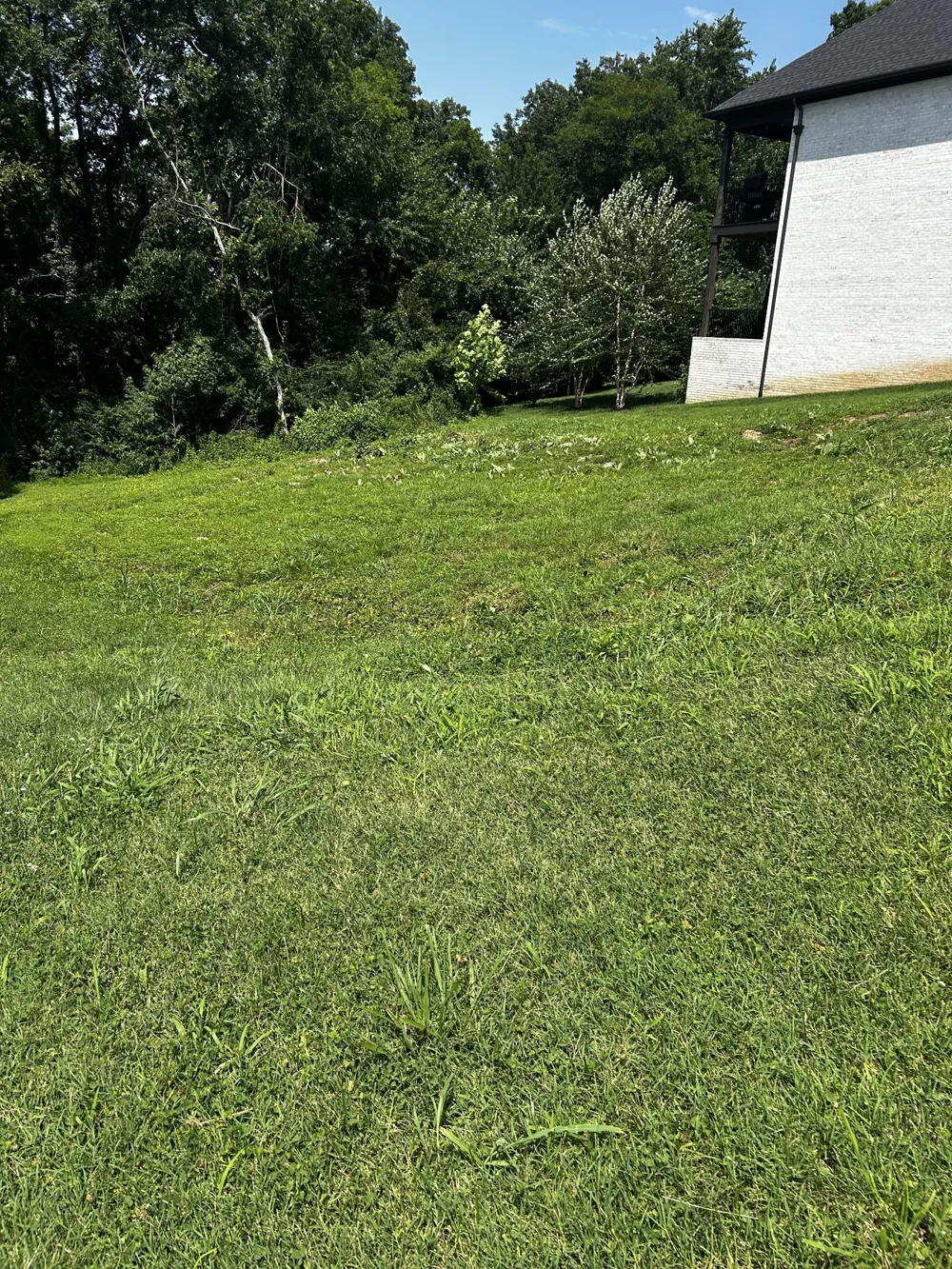 139 Bertrand Dr Franklin, TN 37064