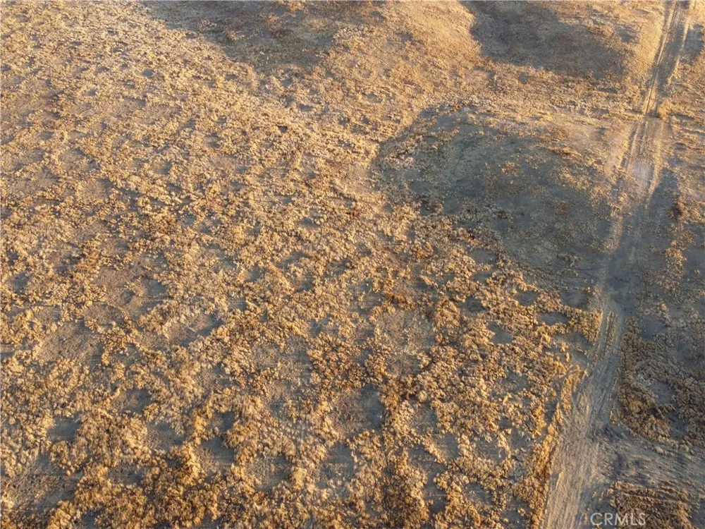 Belden Rd California Valley, CA 93453