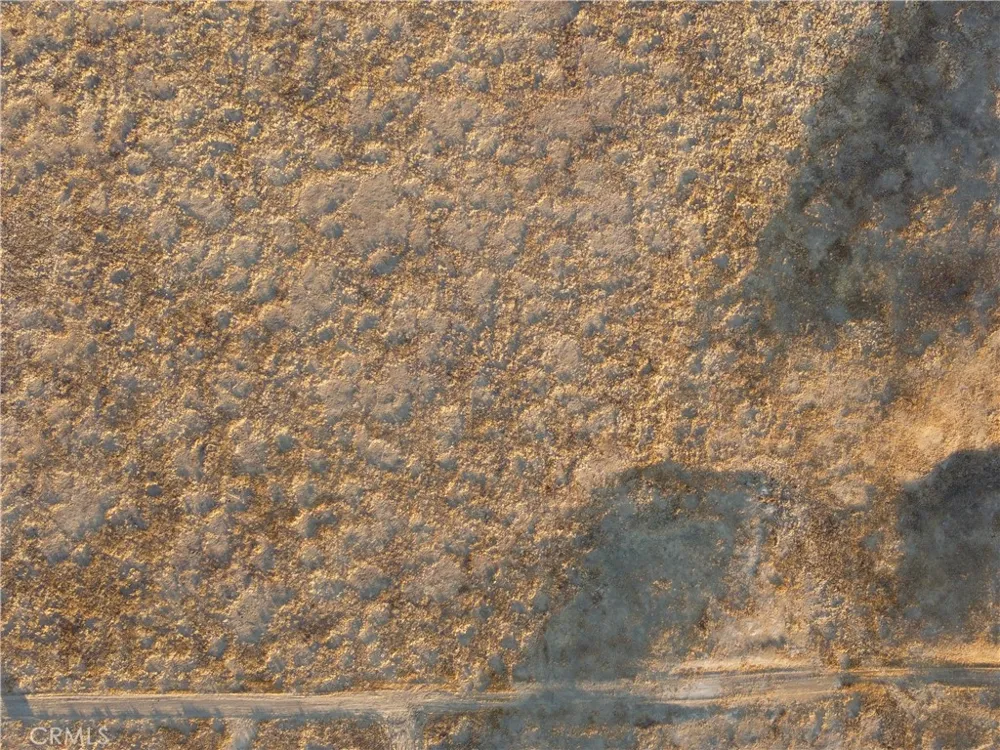Belden Rd California Valley, CA 93453