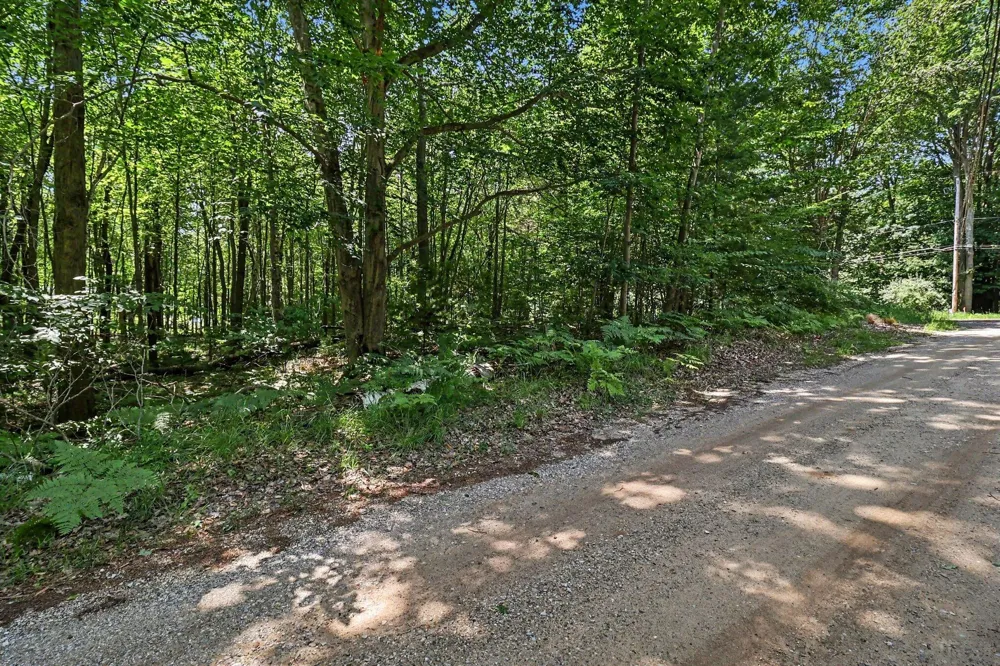 6733 W Basswood Street Ludington, MI 49431