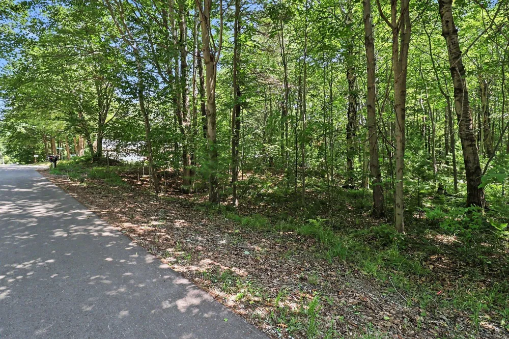 6733 W Basswood Street Ludington, MI 49431
