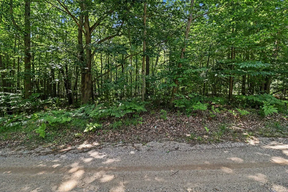 6733 W Basswood Street Ludington, MI 49431