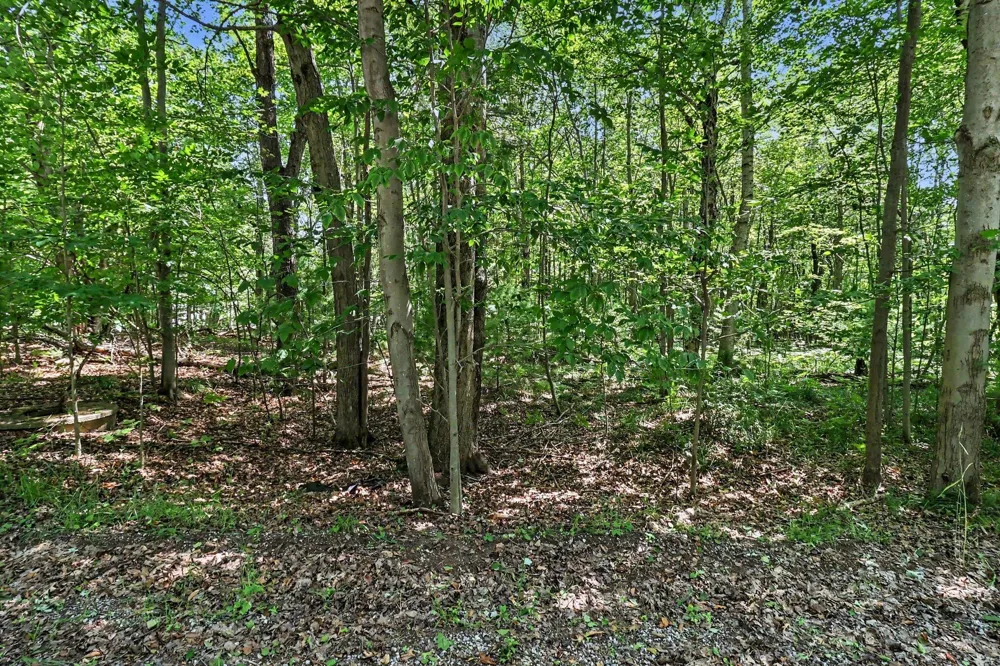 6733 W Basswood Street Ludington, MI 49431