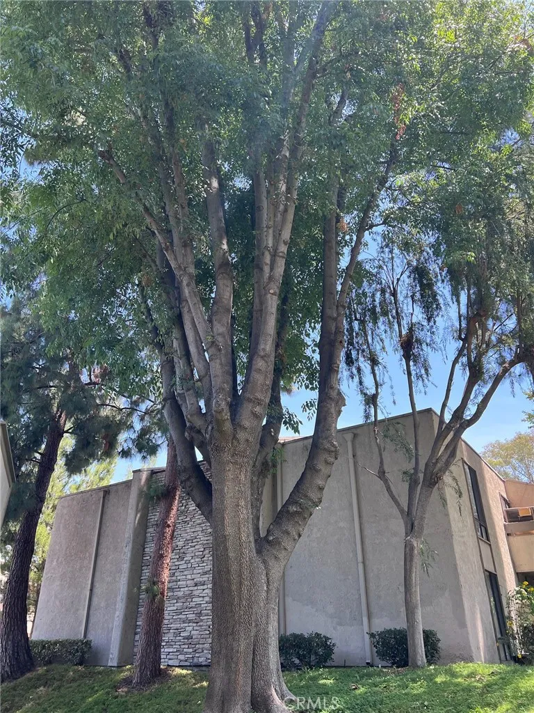 3054 Associated Road #20 Fullerton, CA 92835