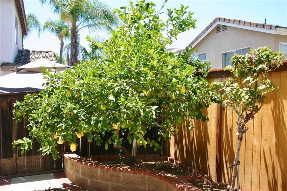 27 Tradition Rancho Santa Margarita, CA 92688
