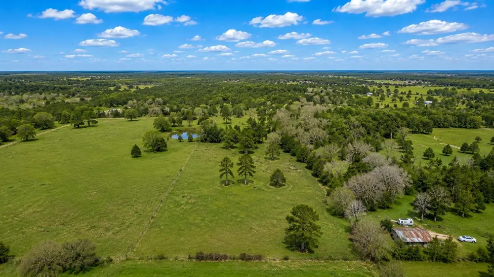 24784 Bailey Grove Road Montgomery, TX 77356