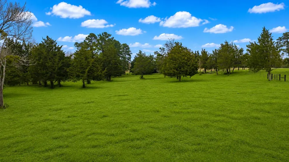 24784 Bailey Grove Road Montgomery, TX 77356