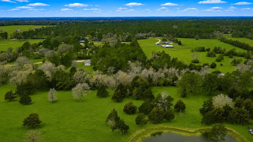 24784 Bailey Grove Road Montgomery, TX 77356
