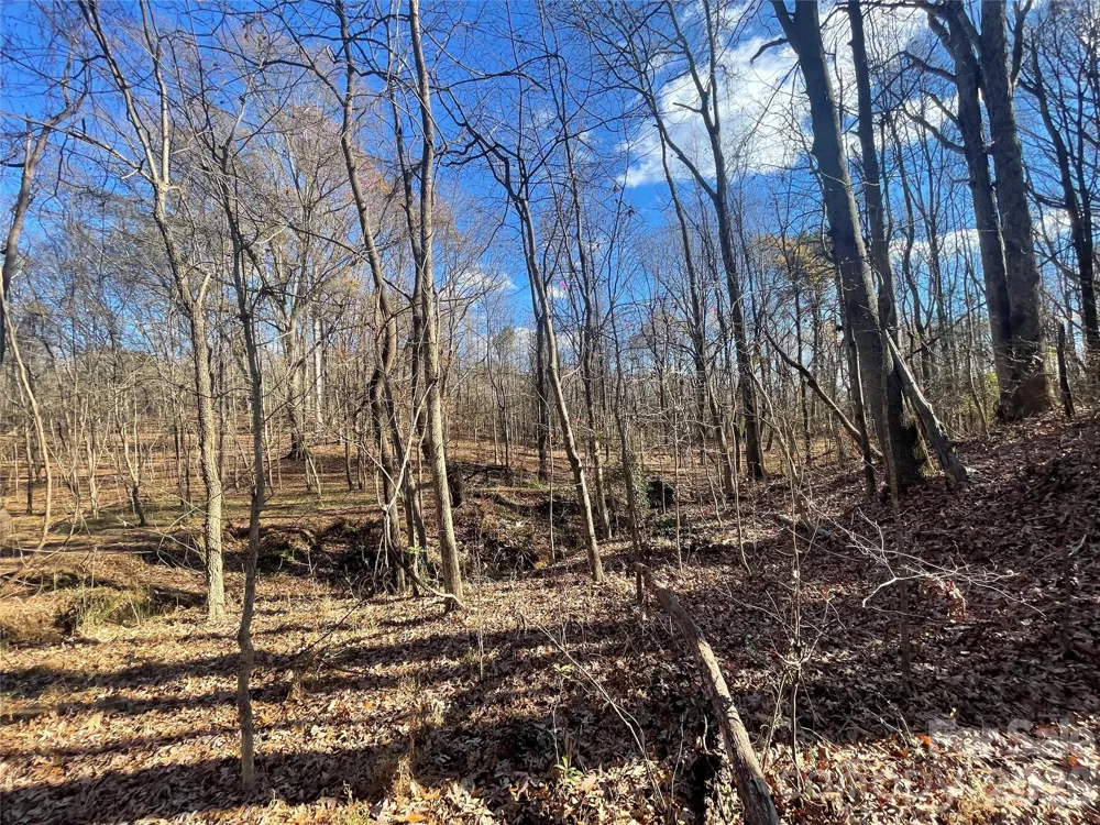00 Mill Creek Road Blacksburg, SC 29702