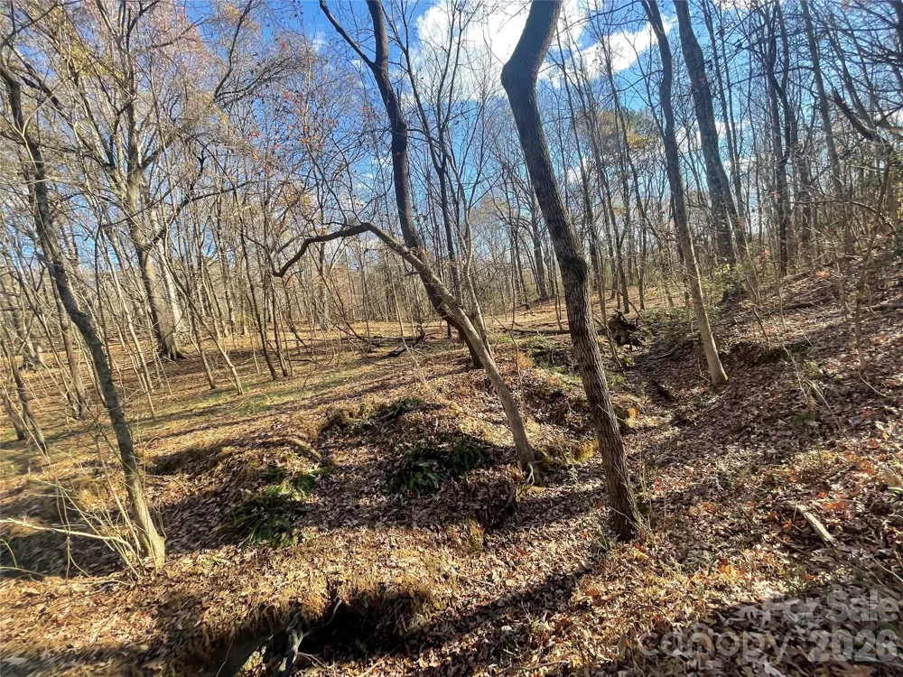 00 Mill Creek Road Blacksburg, SC 29702