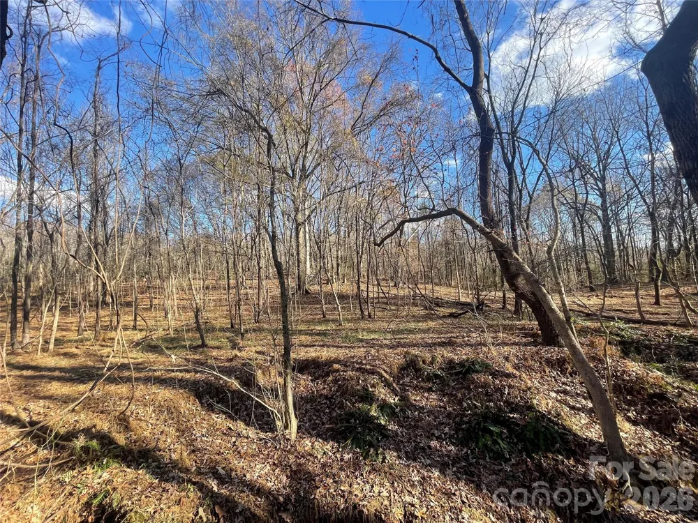 00 Mill Creek Road Blacksburg, SC 29702