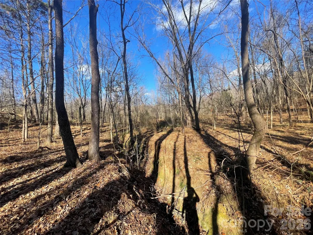 00 Mill Creek Road Blacksburg, SC 29702