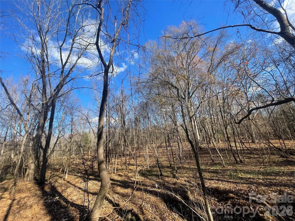00 Mill Creek Road Blacksburg, SC 29702