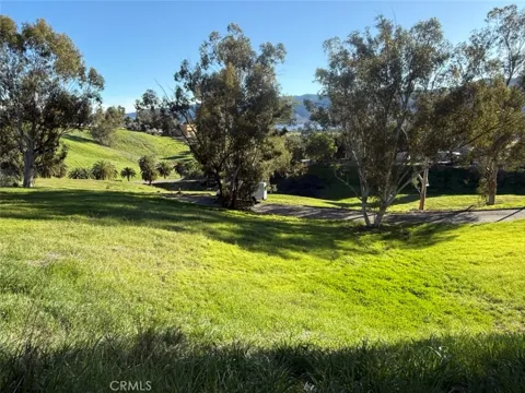 Kalina Avenue