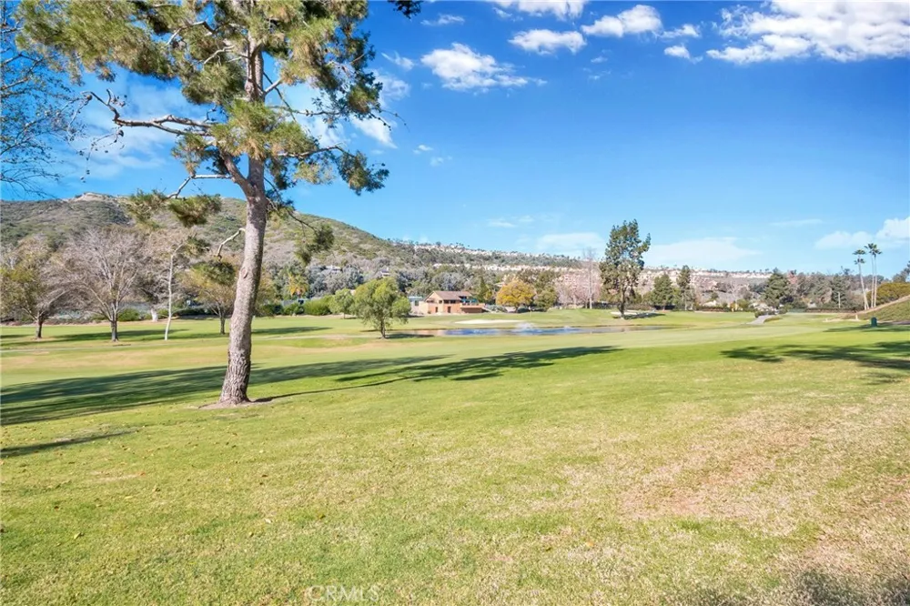 31152 Boca Raton Laguna Niguel, CA 92677
