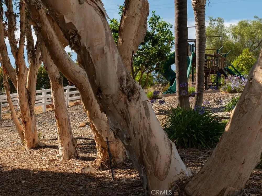 31899 Calle De Talar Bonsall, CA 92003