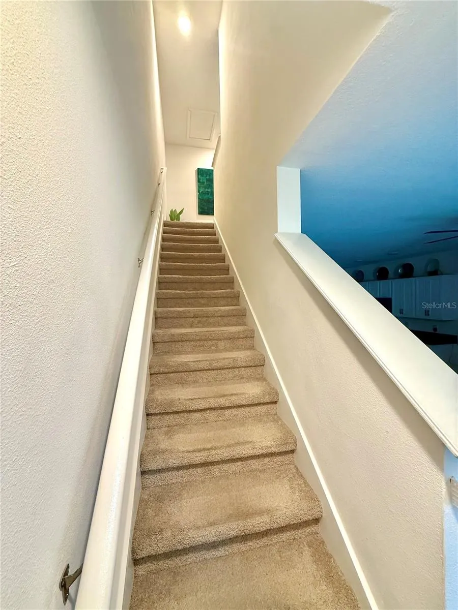 8771 FALLING BLUE PLACE Riverview, FL 33578