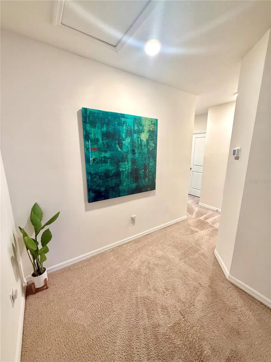8771 FALLING BLUE PLACE Riverview, FL 33578
