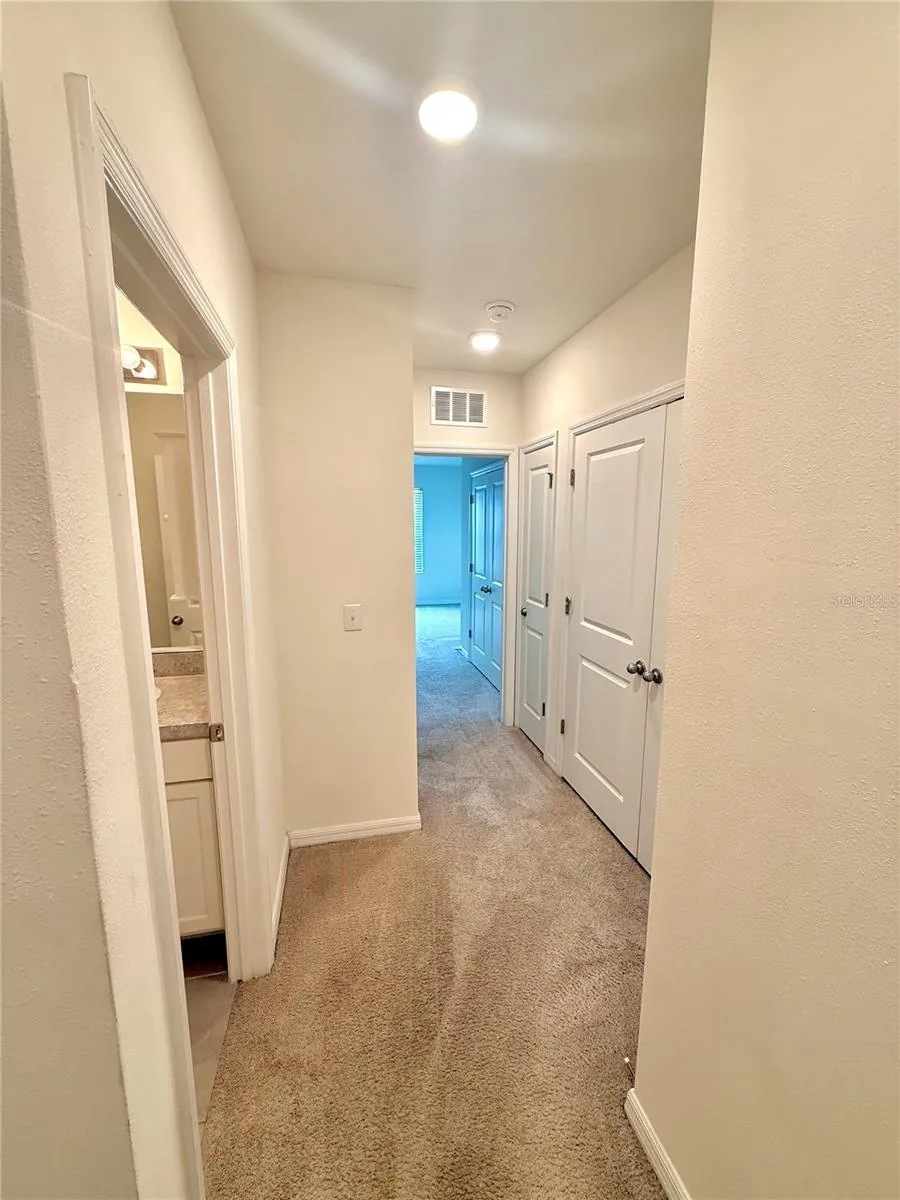 8771 FALLING BLUE PLACE Riverview, FL 33578