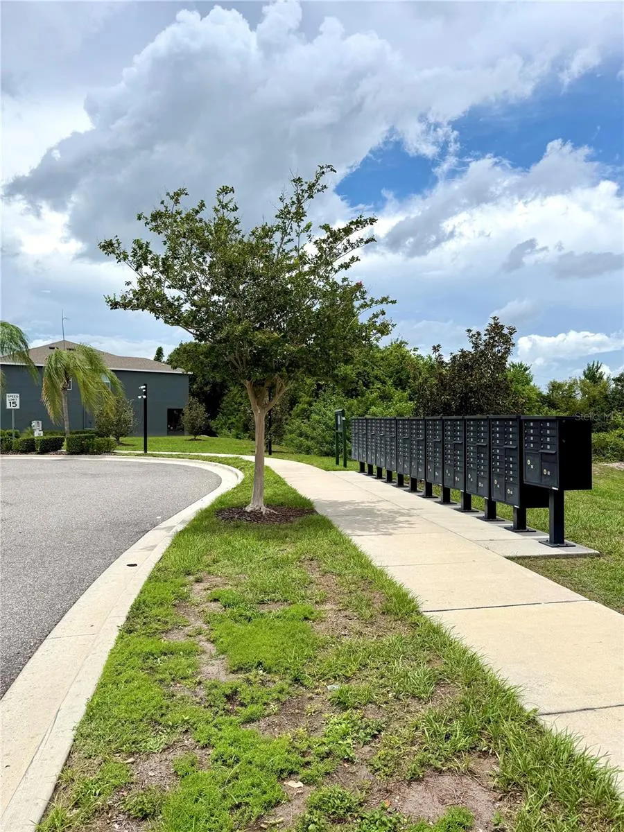 8771 FALLING BLUE PLACE Riverview, FL 33578