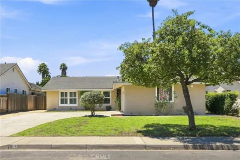 313 Amherst