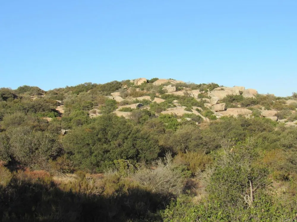 36 Leoney Court Jamul, CA 91935