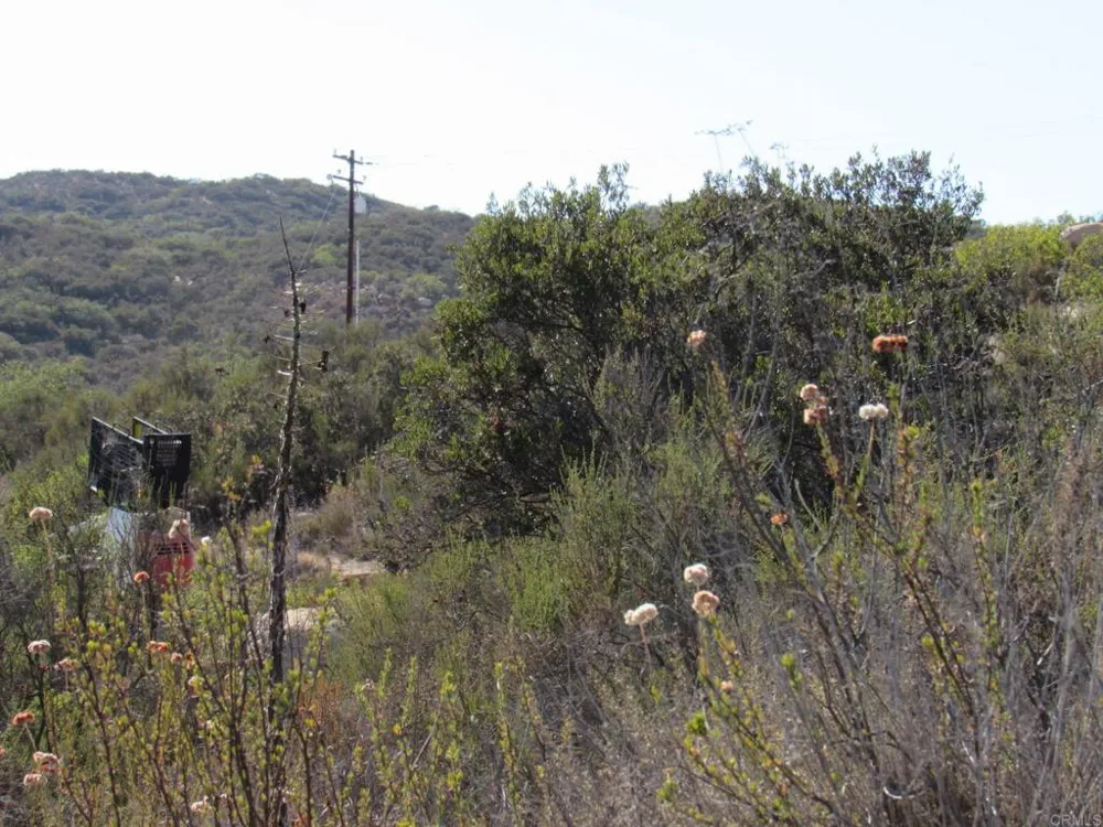 36 Leoney Court Jamul, CA 91935