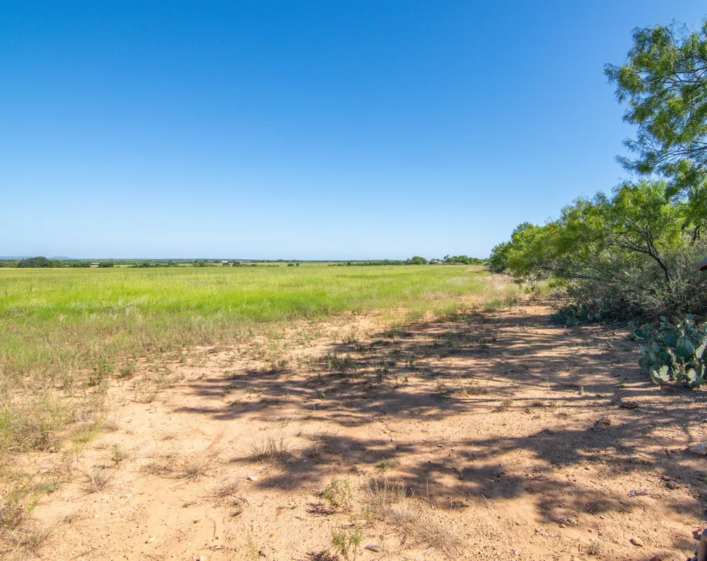 6187 FM 586a S Bangs, TX 76823
