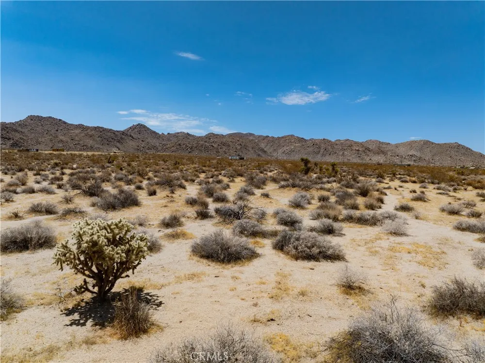 29 Palms Joshua Tree, CA 92252