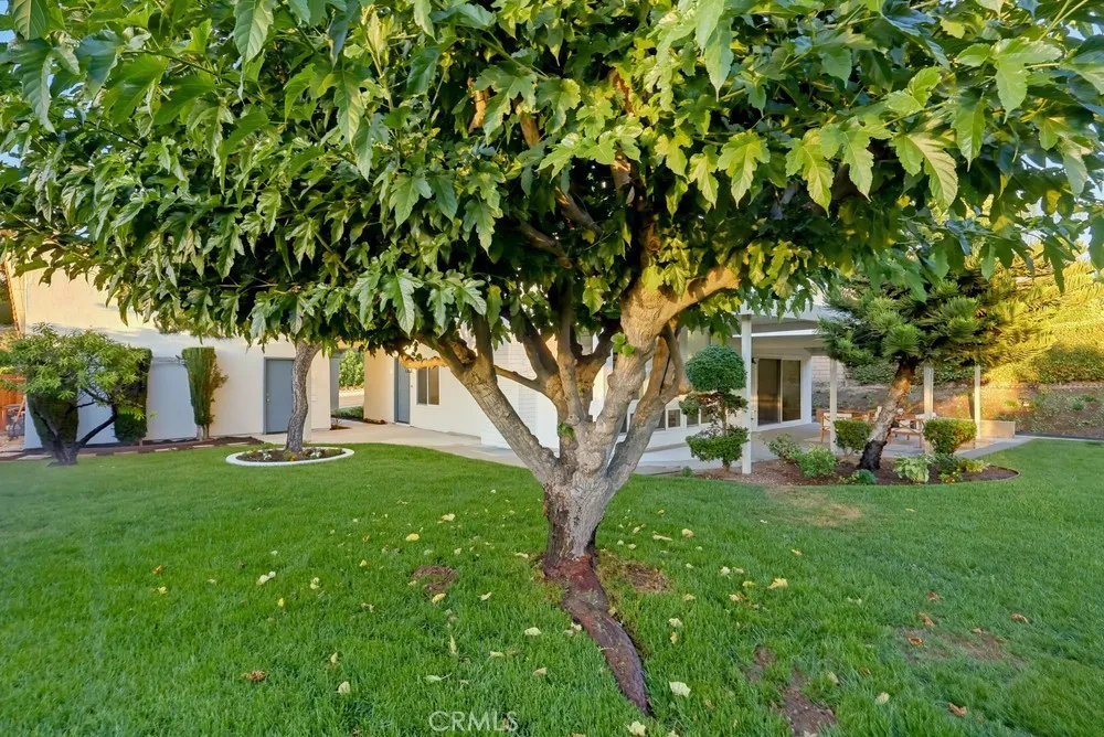 1416 Calle Pajaros San Dimas, CA 91773