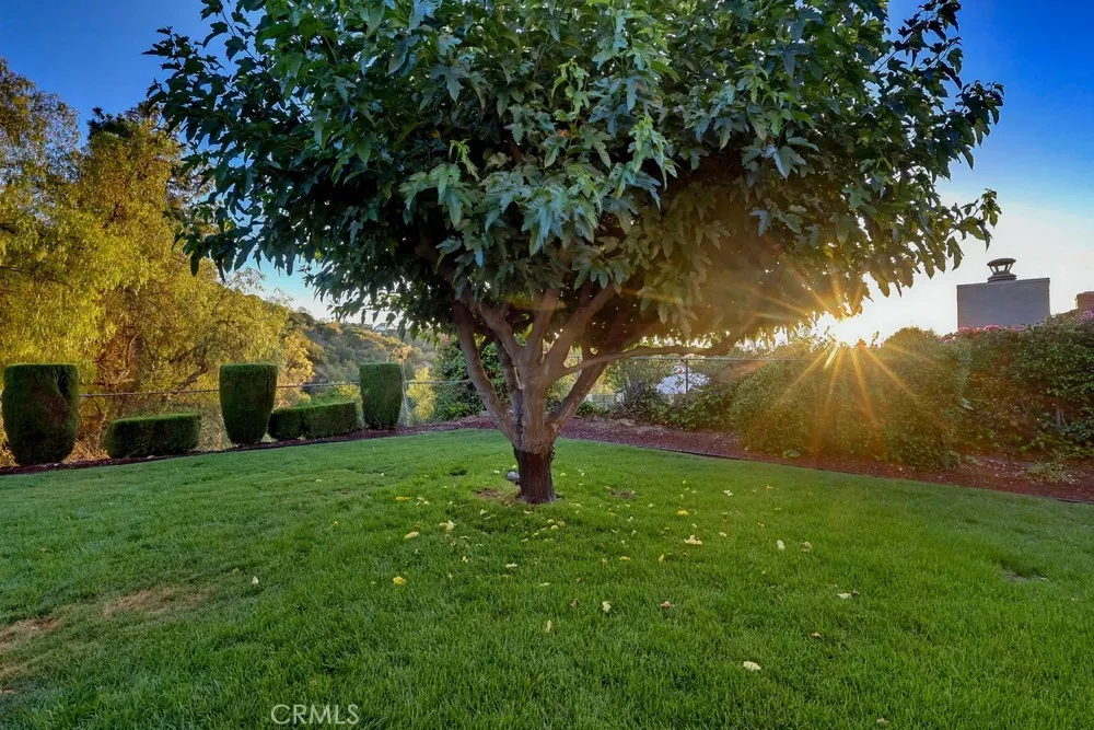 1416 Calle Pajaros San Dimas, CA 91773