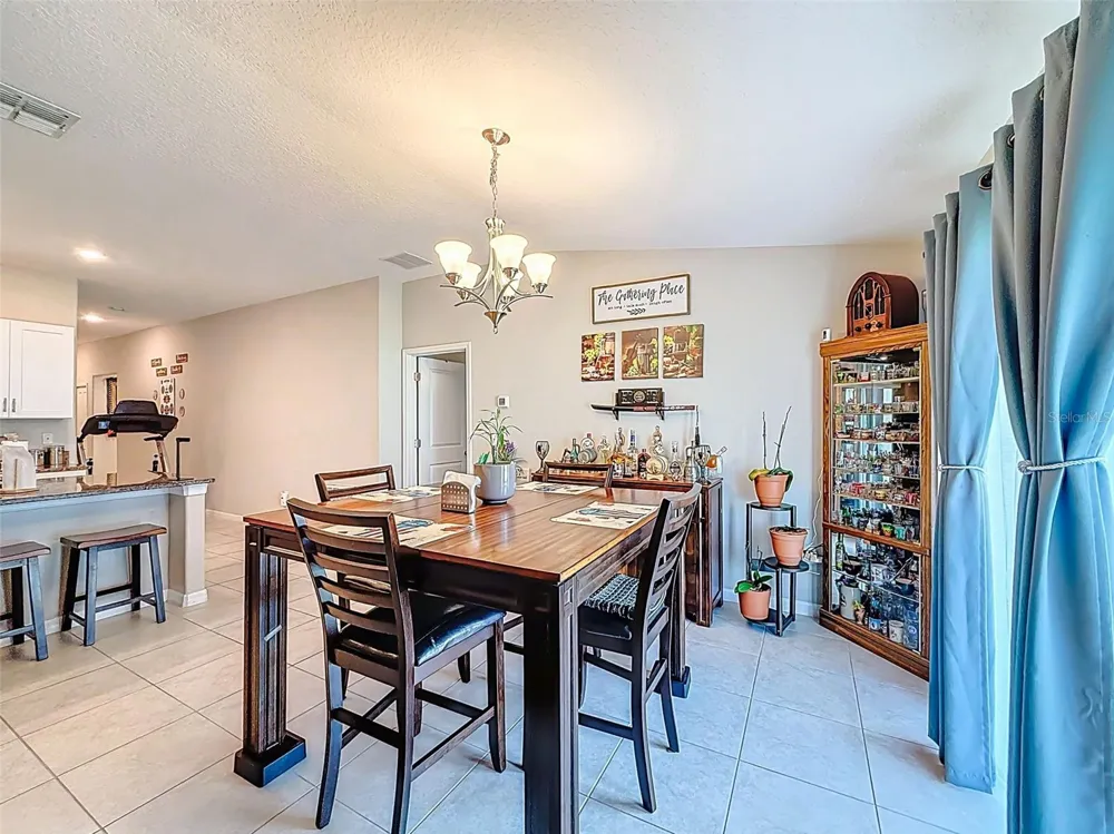 13360 WILLOW BLUESTAR LOOP Riverview, FL 33579
