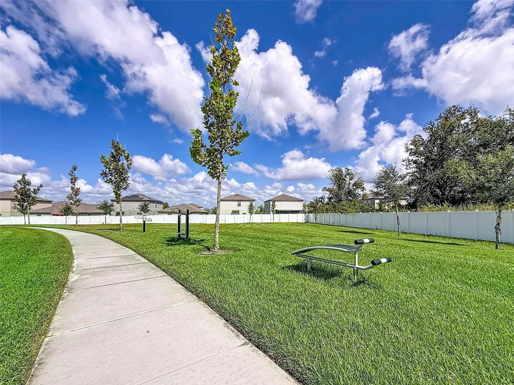 13360 WILLOW BLUESTAR LOOP Riverview, FL 33579