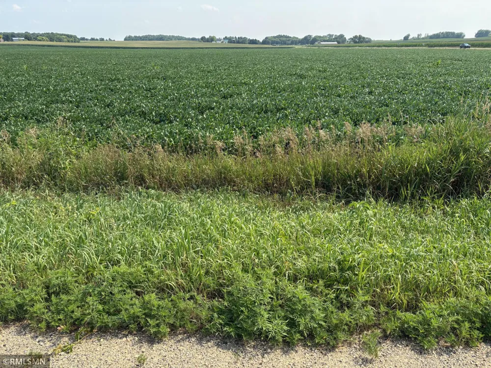 TBD Kennedy Mill Amery, WI 54001