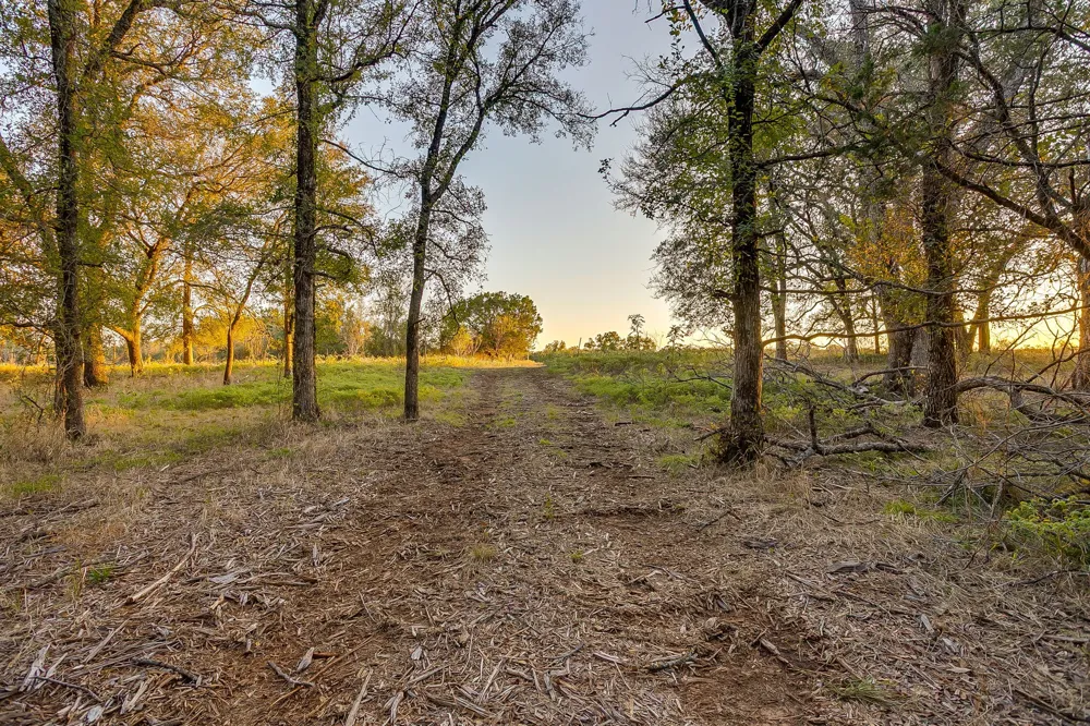 51 Cattle Trail Trail Palo Pinto, TX 76484