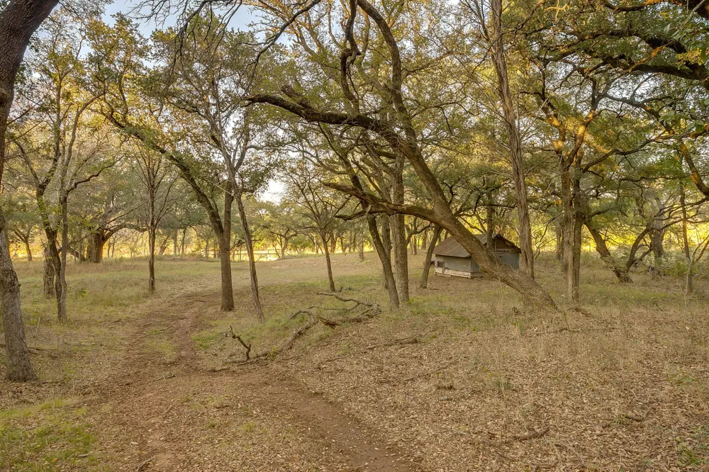51 Cattle Trail Trail Palo Pinto, TX 76484