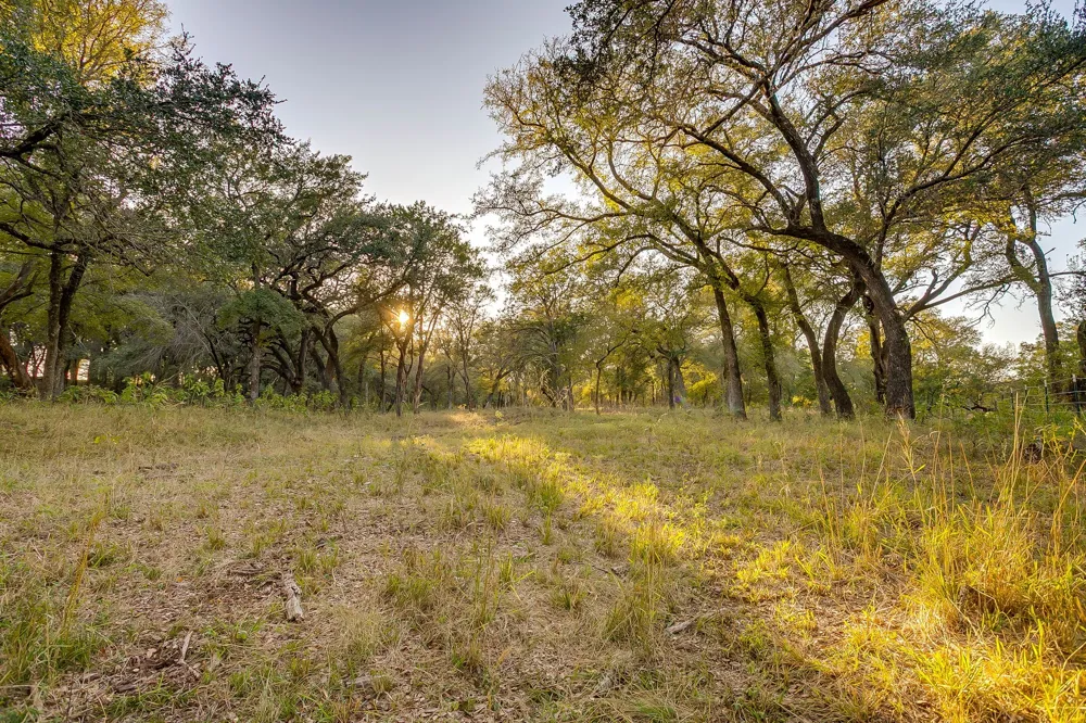 51 Cattle Trail Trail Palo Pinto, TX 76484