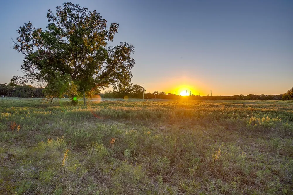 51 Cattle Trail Trail Palo Pinto, TX 76484