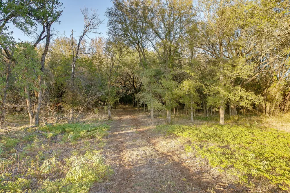 51 Cattle Trail Trail Palo Pinto, TX 76484