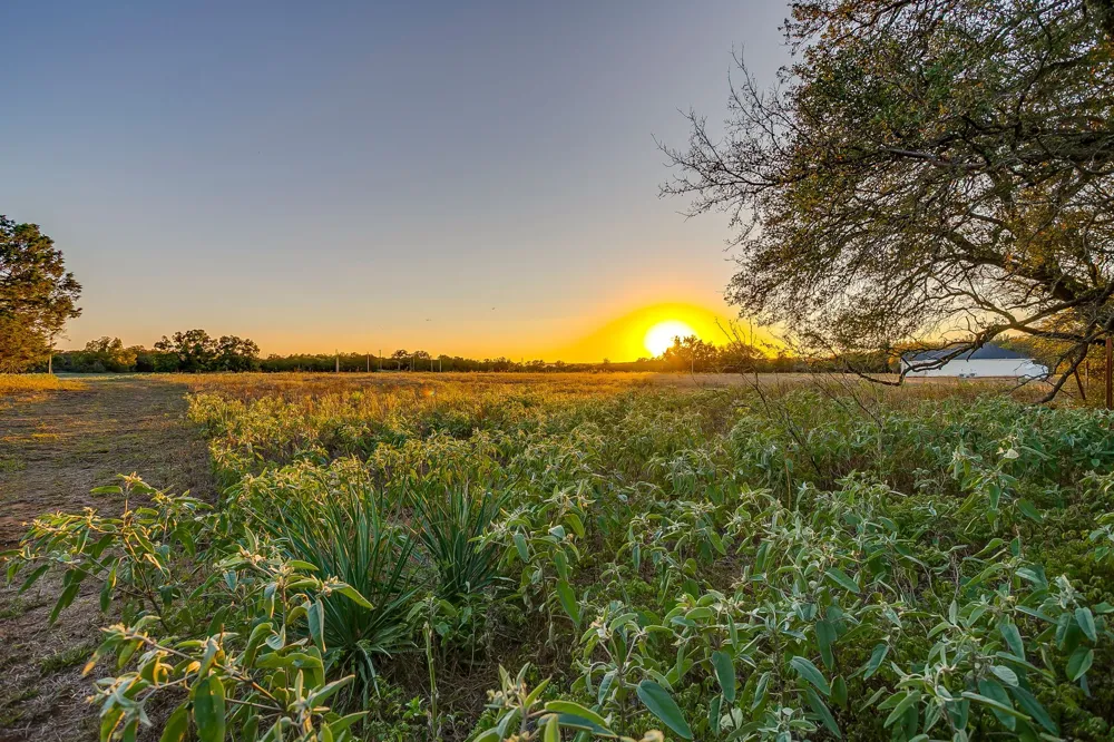 51 Cattle Trail Trail Palo Pinto, TX 76484