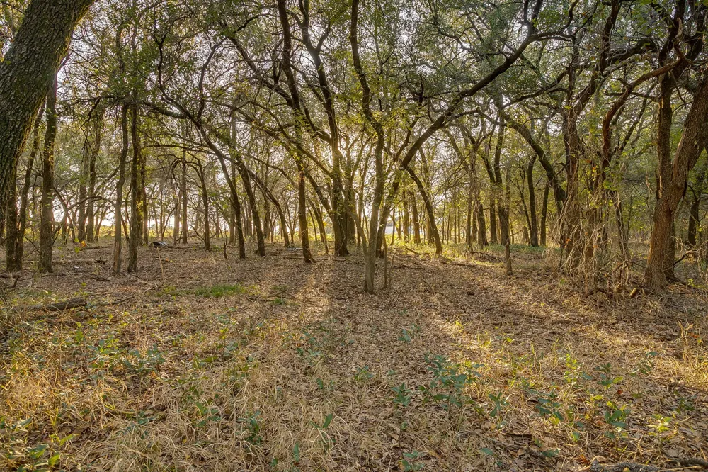 51 Cattle Trail Trail Palo Pinto, TX 76484