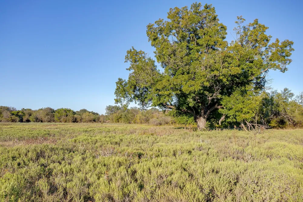 51 Cattle Trail Trail Palo Pinto, TX 76484