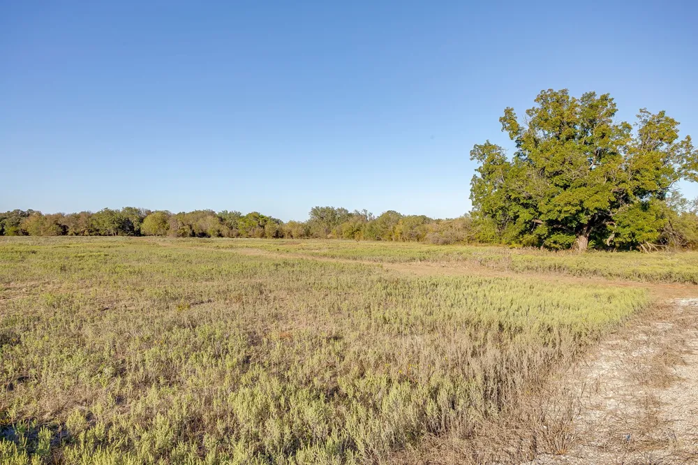 51 Cattle Trail Trail Palo Pinto, TX 76484