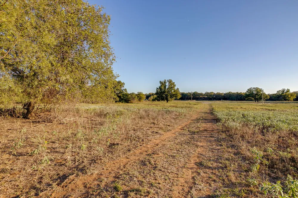 51 Cattle Trail Trail Palo Pinto, TX 76484