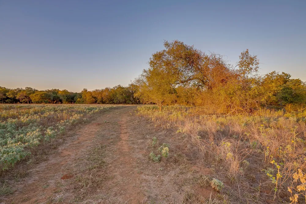 51 Cattle Trail Trail Palo Pinto, TX 76484